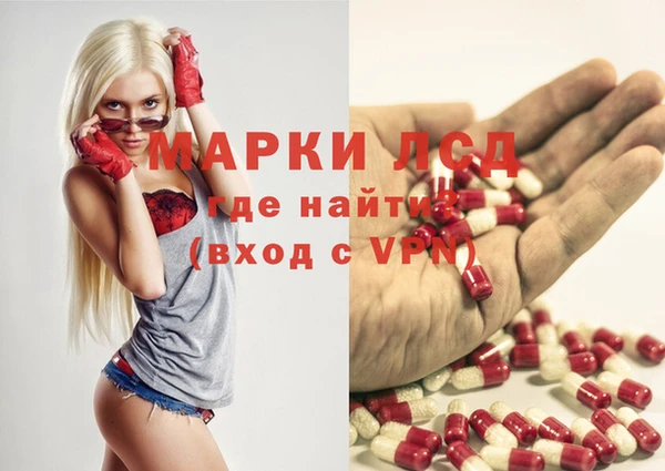 индика Волосово